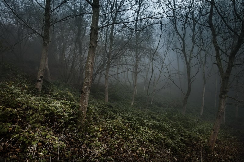 Hushed Tales Image